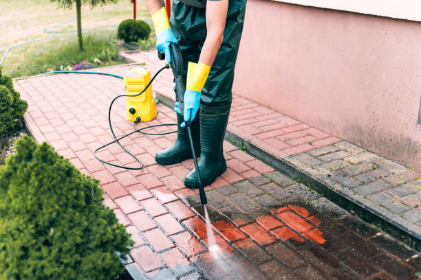 Best Fence Pressure Washing  in Jonesboro, IL