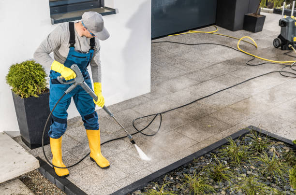Best Roof Pressure Washing  in Jonesboro, IL